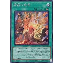 Amazon.co.jp: 遊戯王カード 霊獣の継聖(シークレットレア